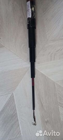 Тенкара Silver win 5,4m, Япония