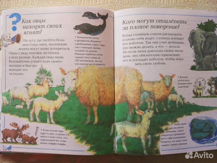 Большая Книга Почему