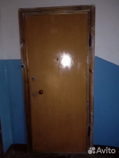 Железные облагороженные двери