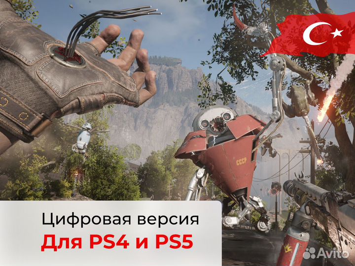 Atomic Heart. Турецкая подписка