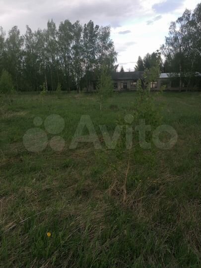 Участок 48 сот. (ИЖС)