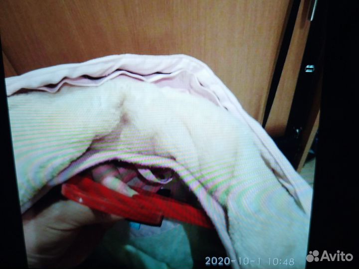 Парка для девочки 164