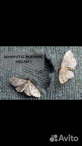 Уничтожение насекомых и грызунов в Ульяновске