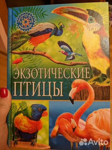 Книга энциклопедия для детей