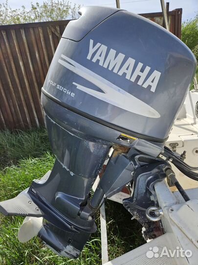 Yamaha f50