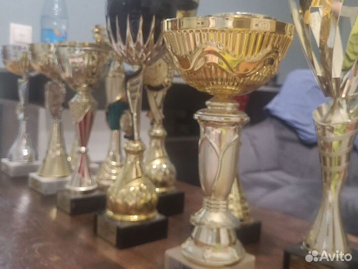 Кубки спортивные по бильярду