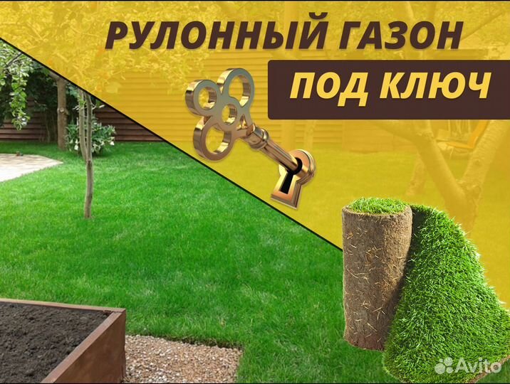 Рулонный газон под ключ Стандартный