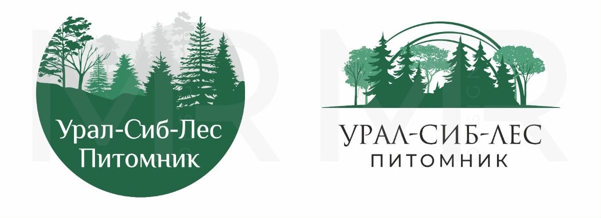 Лес сиб. Логотипы лесных питомников. Лого the nature Conservancy. Protection of Land. Creek Valley Preschool.