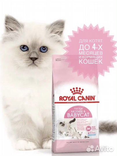 Роял Канин 6 кг для котят мазер енд бебикет