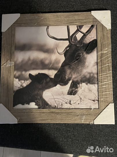 Интерьерная картина новая лось с лосенком