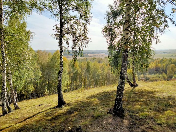 Участок 15 сот. (ИЖС)