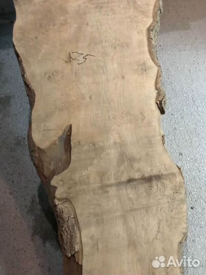 Слэб Карагача. Новосибирск