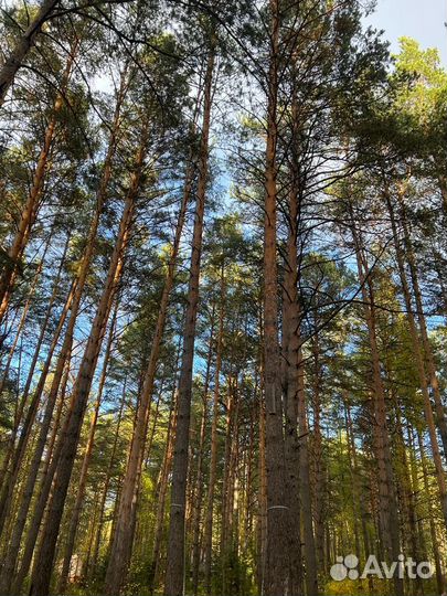 Эко-парк «дух тайги»