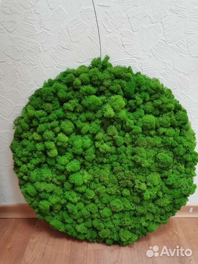 Панно из стабилизированного мха