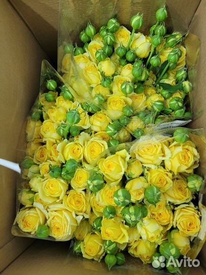 Кустовые розы WOW эффект в букете