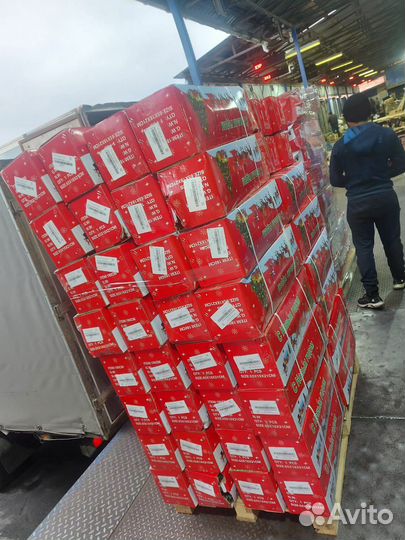 Искусственные елки оптом. Ель Королева Премиум опт