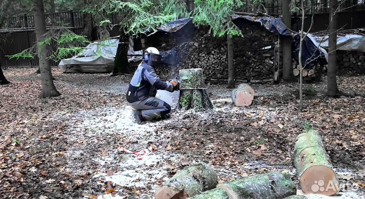 Удаление, корчевание пней. Арендa