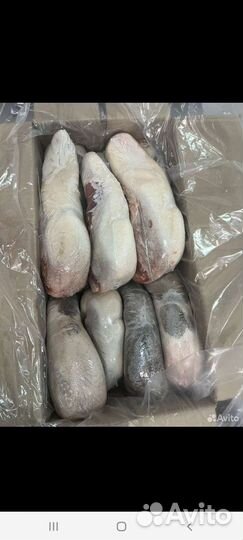 Язык говяжий