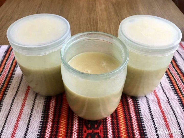 Трутневый гомогенат