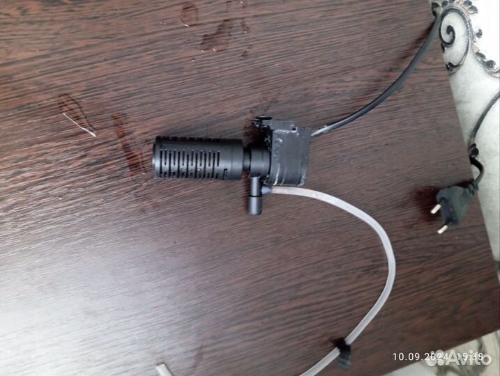 Аквариумные рыбки