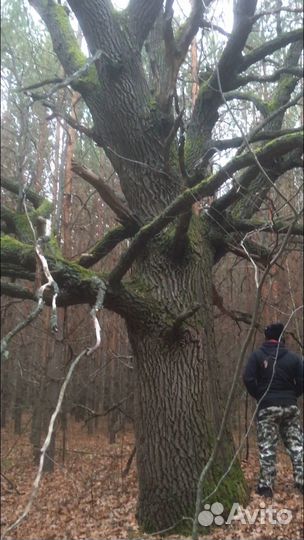 Дуб декор для лестниц