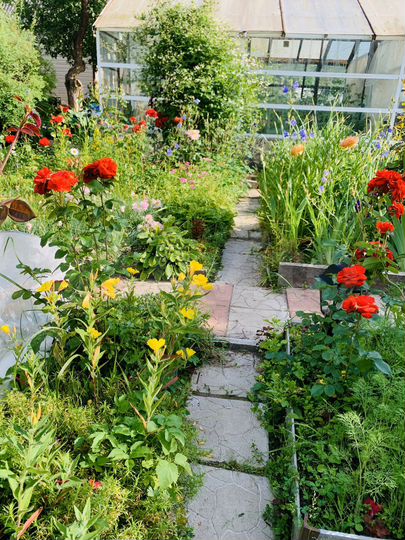 Дача 29,5 м² на участке 5,3 сот.