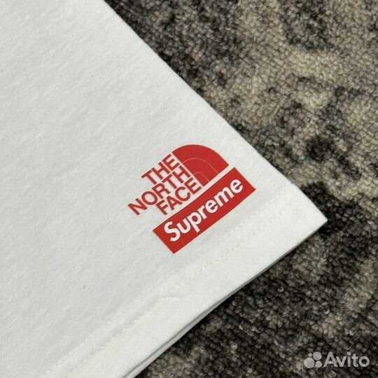 Футболка Supreme x TNF Tee