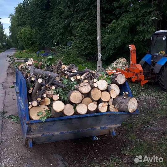 Вывоз мусора контейнером, газелью, самосвалом