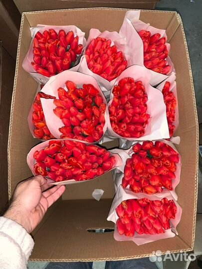 Тюльпаны к 8 марта