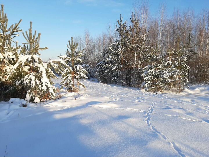 Участок 10 сот. (ИЖС)