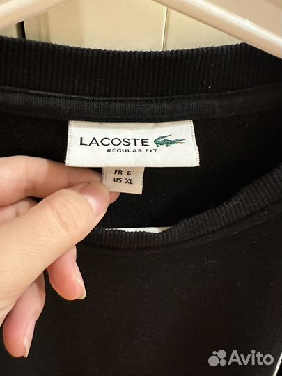 Свитшот lacoste оригинал