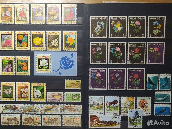 Марки флора фауна III