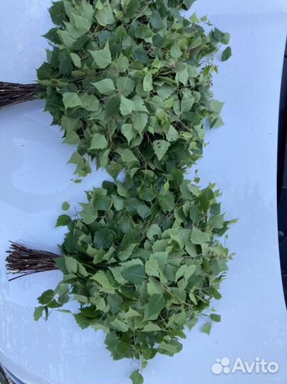 Веники для бани березовые, качественные