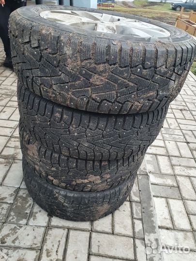 Pirelli Dragon 205/55 R16