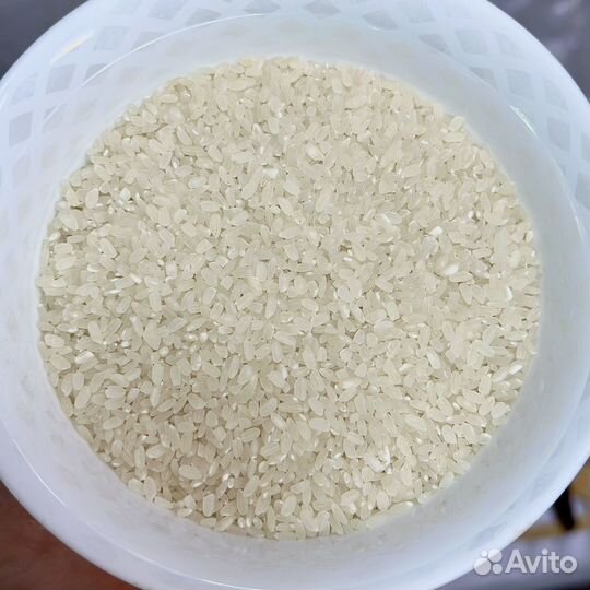 Рис кизлярский