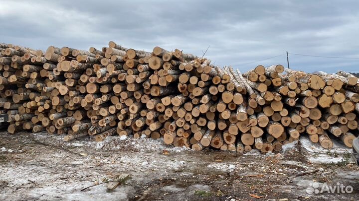 Дрова березовые
