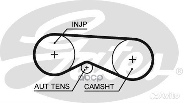Ремень привода тнвд (z87) 5531XS Gates