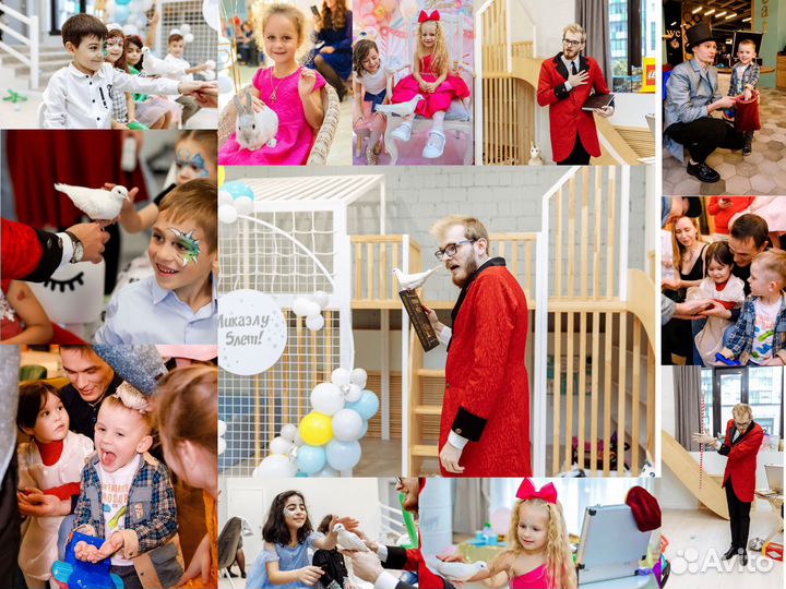 Аниматор Фокусник и 5 зверюшек