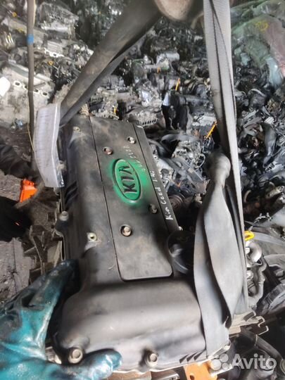 Двигатель kia ceed