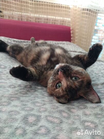 Бонечка ждет свою семью