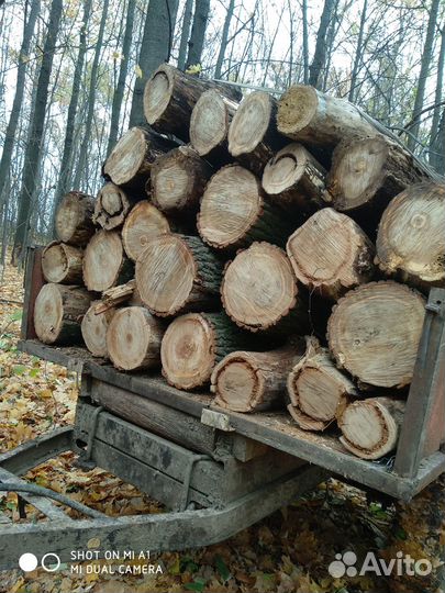 Дрова дубовые колотые