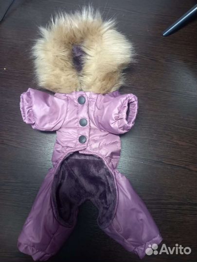 Комбинезон для собак мелких пород