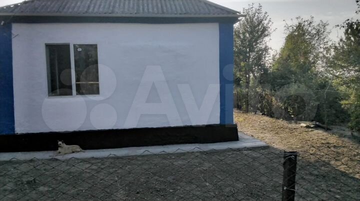 Дом 55 м² на участке 20 сот.