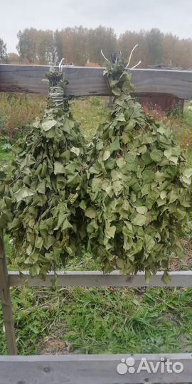 Веники для бани