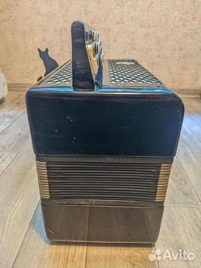 Баян Юность