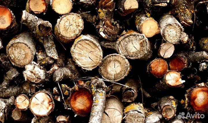 Дрова крупнонаколотые