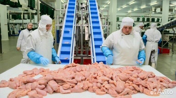 Разнорабочий на вахту