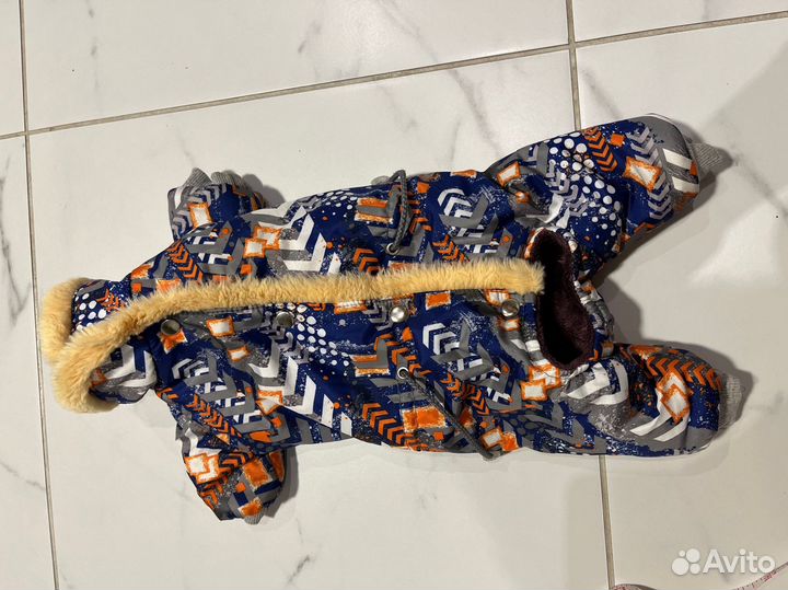 Одежда для собак