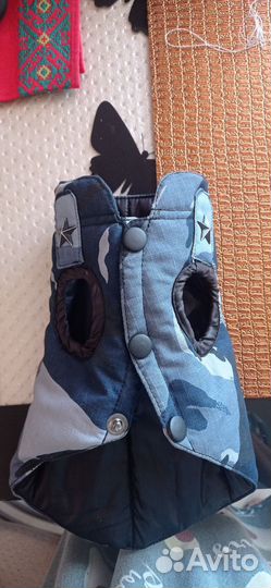 Одежда для маленьких собак,Чихуа,Той, Йорк