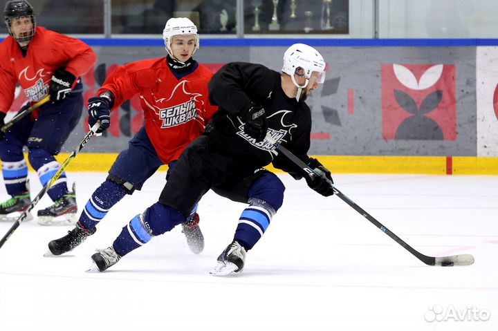 Франшиза школы хоккея для взрослых